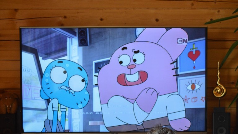 A TV screen showing cartoons