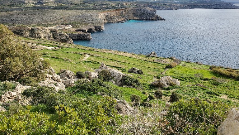 Green landscape in Malta
