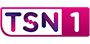 TSN 1 - TV Channel logo - GO Malta