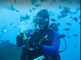 A woman scuba diving with fish in the background